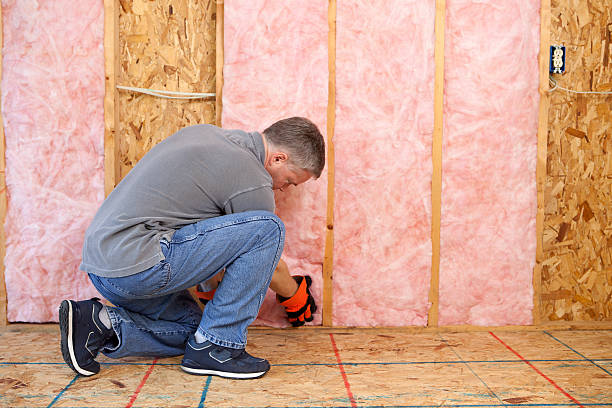 Professional Insulation Services in Granger, TX